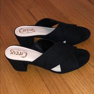 Circus by Sam Edelman Black Stevie Mule